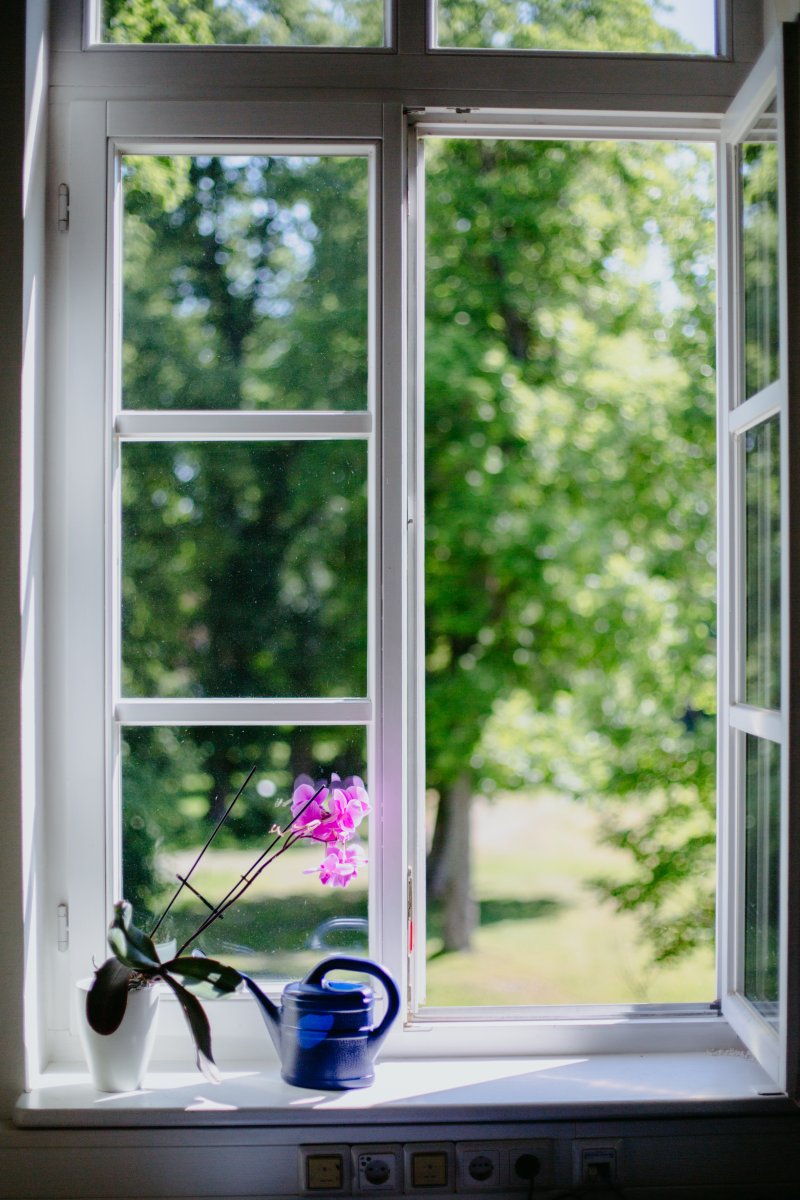 Fenster Eggenfelden Consaris