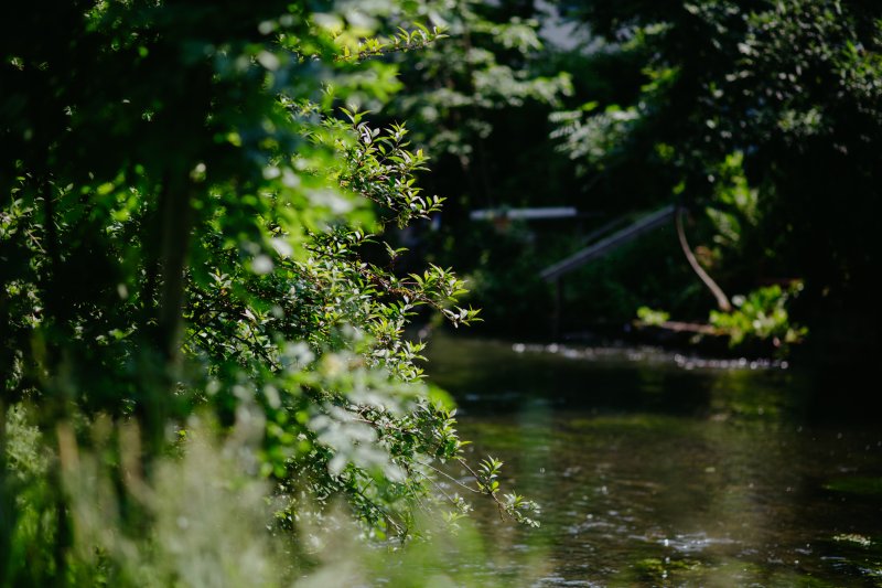 Bachlauf Freising Consaris Bachlauf Freising Consaris